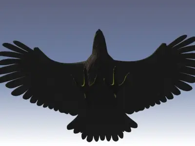 Low Poly Eagle model in flight Low-poly 3D model