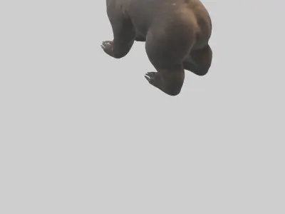 Bear Paws 3D model