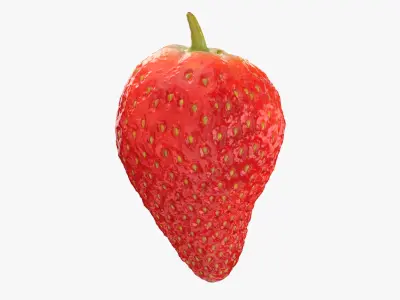 Strawberry Without Stem 03 3D model
