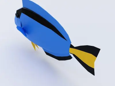 Blue tang fish low poly 3d model  Low-poly 3D model