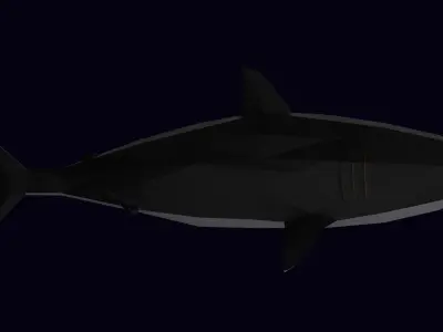 Low Poly Great White Shark Low-poly 3D model
