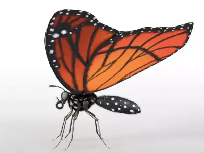 Butterfly Insect Low-poly 3D model