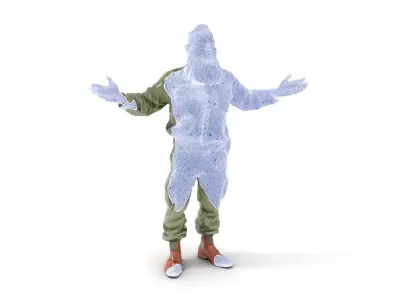 Bearded Military Commander Rigged and Animated D Model Low-poly 3D model