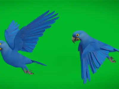 Hyacinth Macaw Parrot Low-poly 3D model
