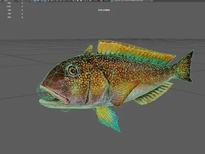 Tilefish Low-poly 3D model
