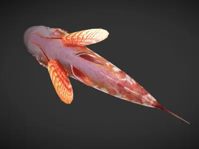 Grouper01 snapper Low-poly 3D model