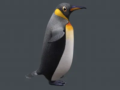 Penguin Low-poly 3D model