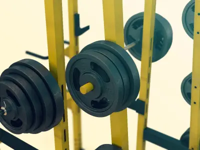 Crossfit Rack 3D model