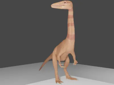 Coelophysis Low-poly 3D model