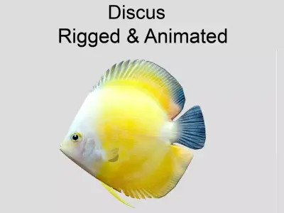 Discus Realistic Animated Low-poly 3D model
