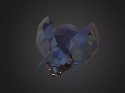 Bug Ladybug Black Low Polygon Art Insect Low-poly 3D model