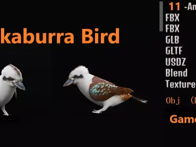 Kookaburra Bird Low-poly 3D model