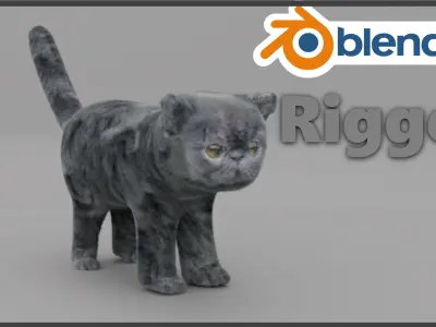 Exotic Shorthair Free 3D model