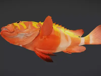Realistic Neptune Grouper Animated 3D model