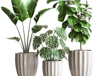 Plant Collection Rpm 08 3D model