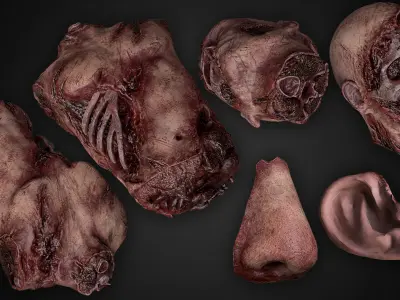 Bloody Human Remains Rigged Low-poly 3D model
