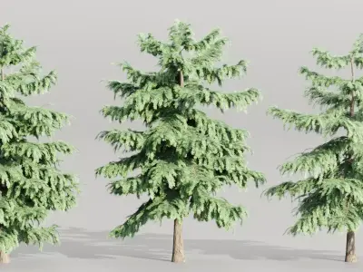 Pine trees collection vol 107 Blender Free 3D model