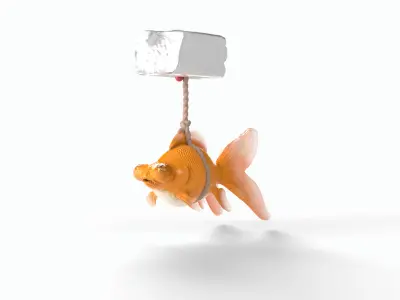 Orange gold fish bladder issue Low-poly 3D model