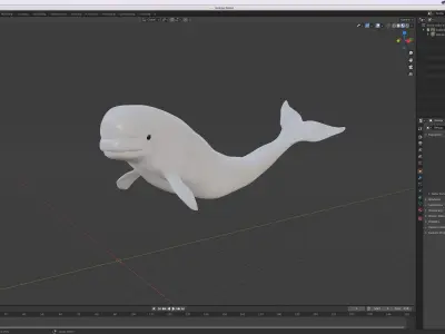 Beluga Whale Free 3D model