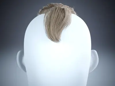 Low poly Ponytail Haircard Low-poly 3D model