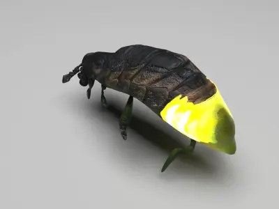 Glow Worm 3D model