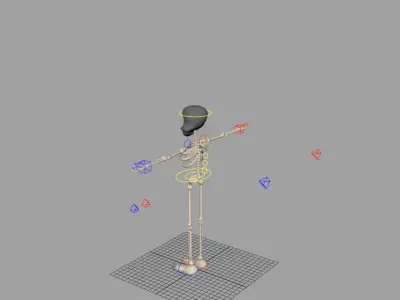 Skeleton Fully Rigged 3D model