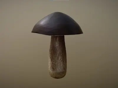 Mushroom - Boletus Edulis Free low-poly 3D model