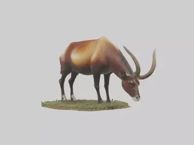 Sable Antelope grazing model Low-poly 3D model
