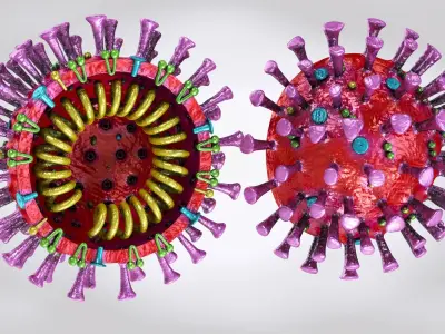 Corona virus 2019 3D model