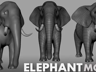 Elephant Topology Uv Map Free low-poly 3D model