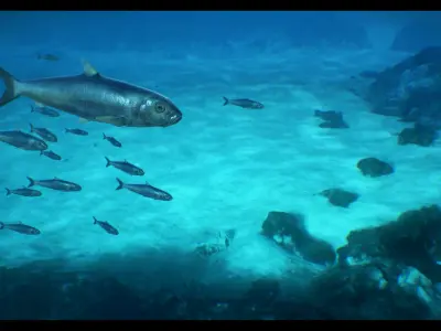 Sardine fish Low-poly 3D model