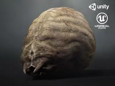 Worm Lt1 - Game Ready Low-poly 3D model Low-poly 3D model