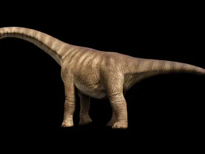 Brachiosaurus Sauropod Dinosaur Low-poly 3D model