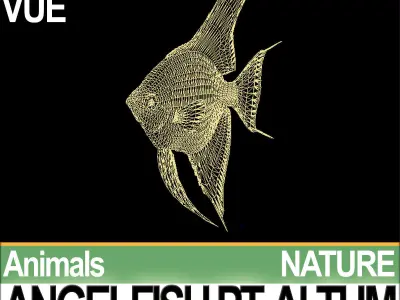 Angelfish Pt Altum 3D model