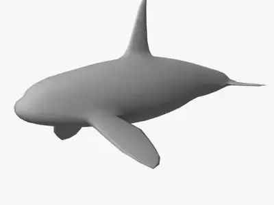 Low Poly Killer Whale Low-poly 3D model