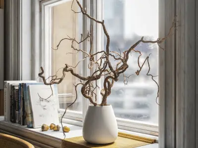  Bare Corkscrew Hazel Potted Plant Model 