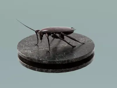 House Decoration Cockroach Statue Low-poly 3D model