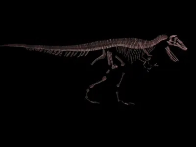 Stylisez T-Rex Skeleton Low-poly 3D model