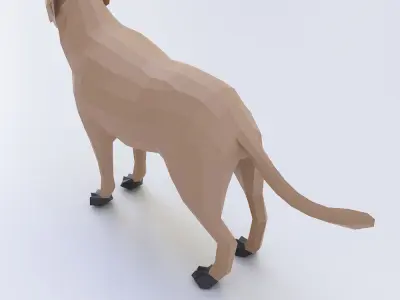Dog 3d model labrador Low-poly 3D model