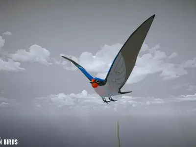 Cartoon birds - big animation pack Low-poly 3D model