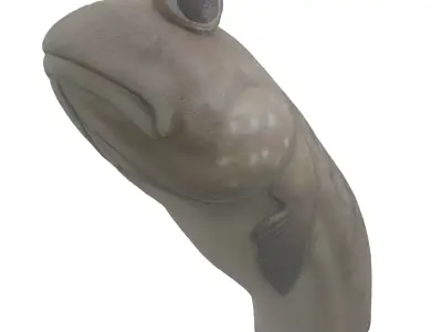 Mudskipper Sculpture 3D model