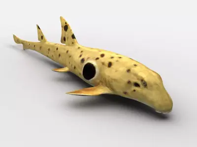 EPAULETTE SHARK Low-poly 3D model