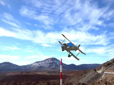 Sports aircraft camouflage Low-poly 3D model