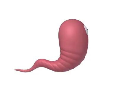 Worm Cartoon 3D model