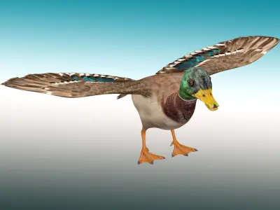 Duck  Rig Low-poly 3D model