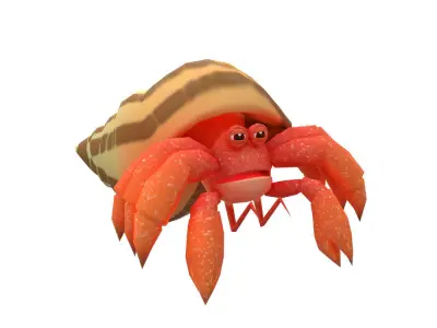 Coenobita Perlatus Animated  Low-poly 3D model