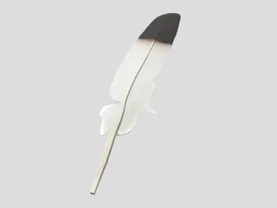Feather 2 Low-poly 3D model