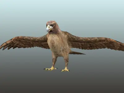 Golden Eagle  Low-poly 3D model