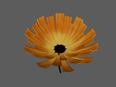 calendula Flower 3d model  3D model