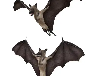 Bat bird rigged 3d model Low-poly 3D model